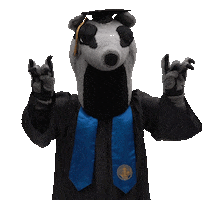 uc irvine graduation Sticker by UCI Athletics