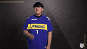 Overwatch Esports GIF by Boston Uprising