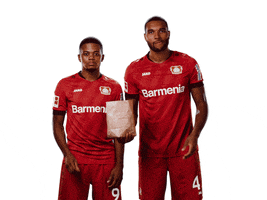 Bayer 04 Bailey GIF by Bayer 04 Leverkusen