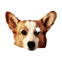 corgi STICKER by imoji