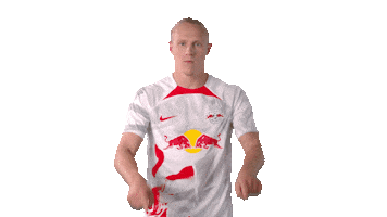 Xaver Schlager Football Sticker by RB Leipzig