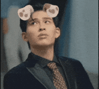 Dog Ears Ar Effect GIF
