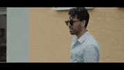 Love It Reaction GIF by The official GIPHY Page for Davis Schulz