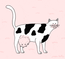 Cat Cow GIF by Juan Billy