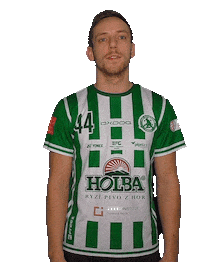 Sport Floorball Sticker by FbŠ Bohemians
