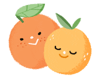 Orange Citrus Sticker