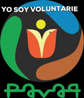 pavap_py  GIF