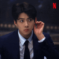 netflix what GIF by Busted!