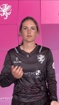 T20 Vitality Blast GIF by Somerset County Cricket Club