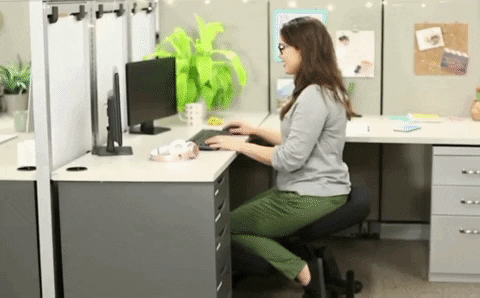 Zincera  GIF