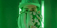 Baseball Ball GIF by Marshall University Athletics