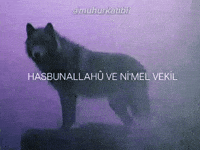 Islam Allah GIF