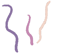 Wiggle Lines Sticker