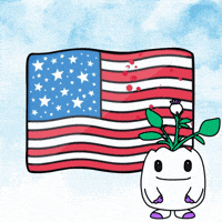 United States Usa GIF by Magic Eden