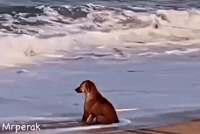 Sad Art GIF