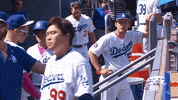 major league baseball sport GIF by MLB