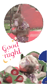 Good Night Fun Sticker