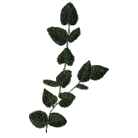 Embroidery Leafs Sticker by bemmimosa