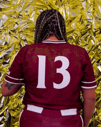 Elon Softball GIF by Elon Phoenix