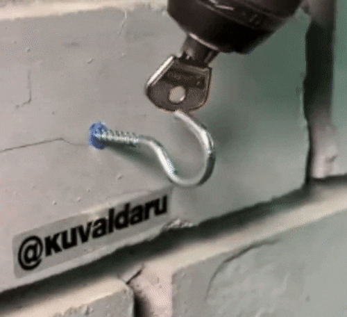 xcbcvccxscxcv giphyupload GIF