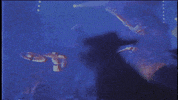 music video rock GIF by Epitaph Records