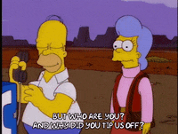 homer simpson GIF