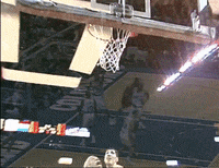 chicago bulls GIF