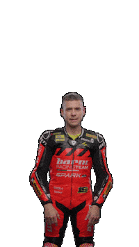 Go Alvaro Bautista Sticker by WorldSBK