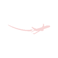 Fashion Rose Sticker by Business Plane Network