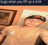 Chopped GIF