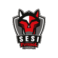 Futebolfeminino Sticker by Sesi Esporte