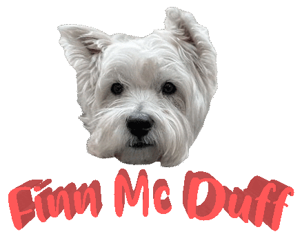 Dog Finn Sticker