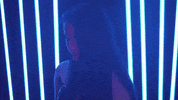 GIF by UNC Tar Heels