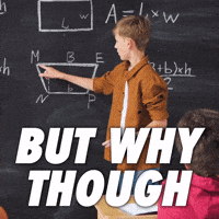 Confused Help Me GIF by Sealed With A GIF