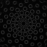 black and white circle GIF by Motion Addicts
