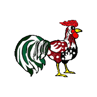 Rooster Chickens Sticker