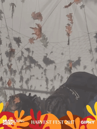 harvestfestny GIF by Meatpacking District