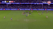 2018 season football GIF by AFL