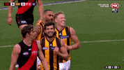 2018 season football GIF by AFL