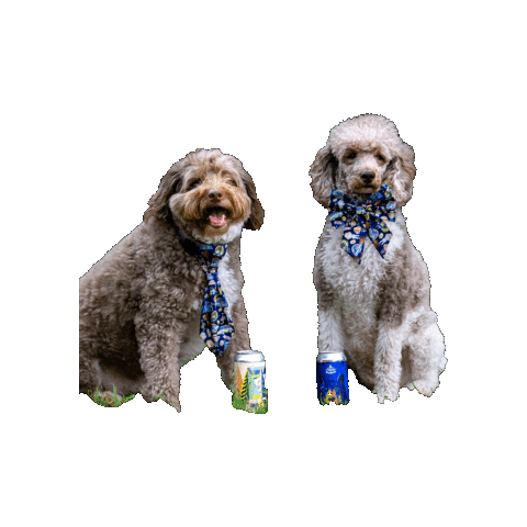 Zukoandazula Sticker by Geekster Pets