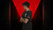 Eintracht Frankfurt Fifa GIF by Bundesliga