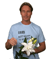 loveforlilies flower thumbs up flowers great work Sticker