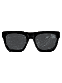 Sunglass Sticker by Black Flys