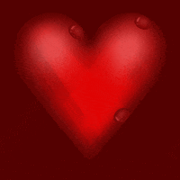 Valentines Day Love GIF