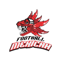 Football Nfl Sticker by Universidad del Conde