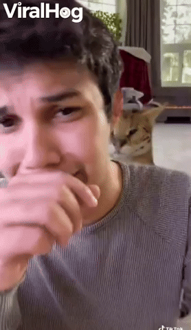 Cat Caught Being Rude