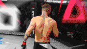 Mma Ufc GIF by PlayStation