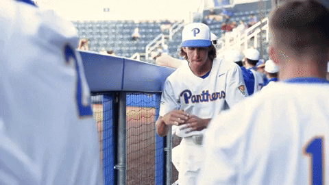 Happy Dance GIF by Pitt Panthers
