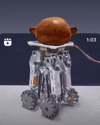 GIF by Alex Boya
