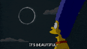 Season 20 Episode 13 GIF by The Simpsons